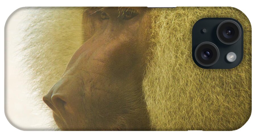 Baboon iPhone Case featuring the photograph Baboon in the Sun by Jonny D