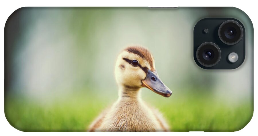 Grass iPhone Case featuring the photograph Baby Duckling by Brooke Pennington