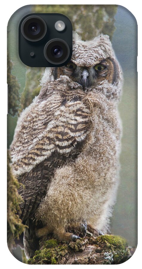Owl iPhone Case featuring the photograph Baby Great Horned Owl by Angie Vogel