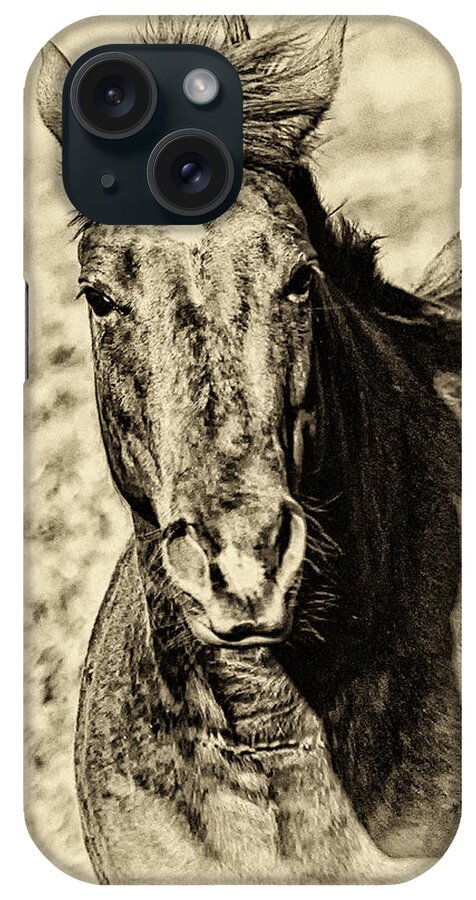 Horse iPhone Case featuring the photograph Baby's Got 'Tude by Toma Caul