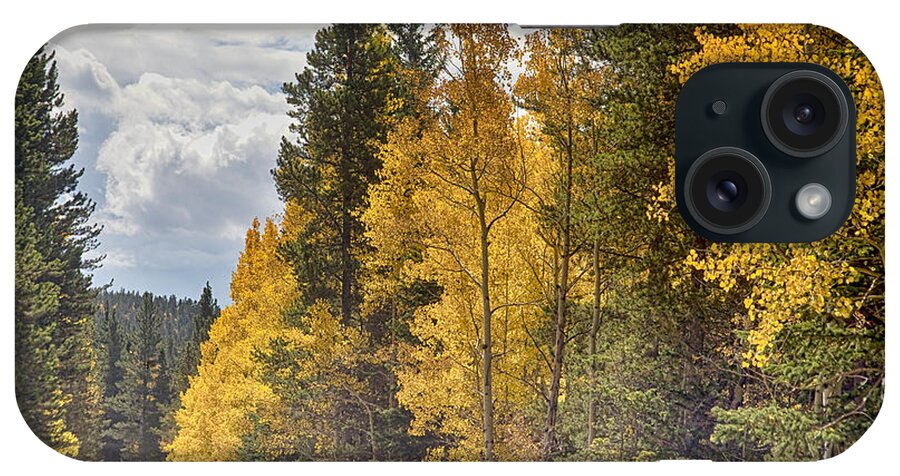 Autumn iPhone Case featuring the photograph Back Road To Autumn by James BO Insogna