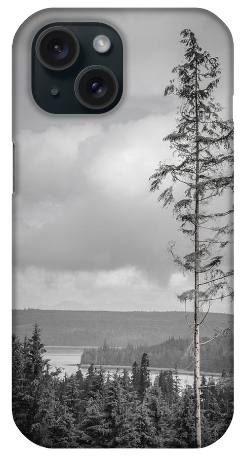 Black And White iPhone Case featuring the photograph Tall Tree View by Roxy Hurtubise
