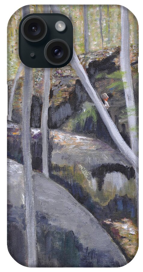 Landscape iPhone Case featuring the painting Backyard at Sussex 4 by Dottie Branch