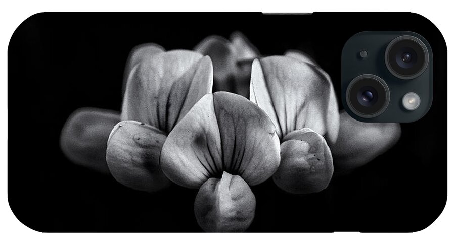 Abstract iPhone Case featuring the photograph Backyard Flowers In Black And White 5 by Brian Carson