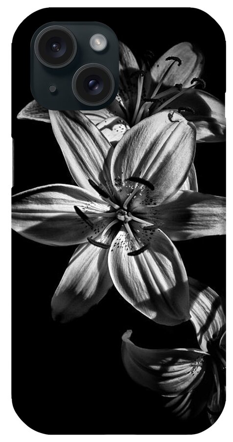 Abstract iPhone Case featuring the photograph Backyard Flowers In Black And White 9 by Brian Carson