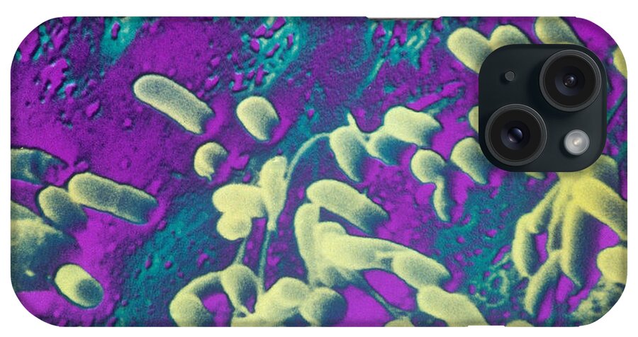 Bacteria iPhone Case featuring the photograph Bacteria On Tooth Enamel Sem by Chris Bjornberg