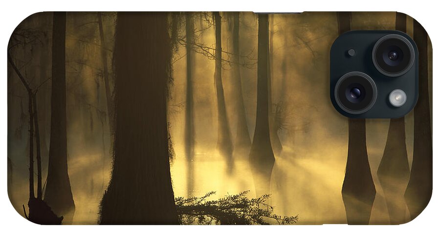 00174948 iPhone Case featuring the photograph Bald Cypress Swamp at Dawn by Tim Fitzharris