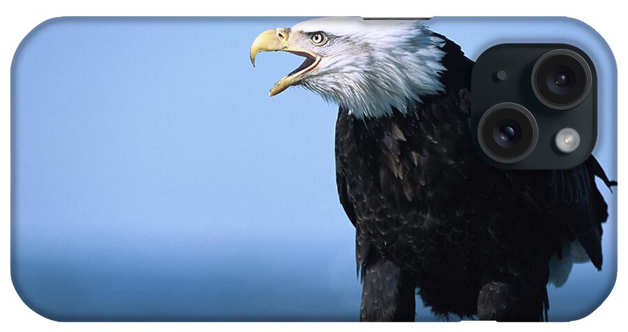 00343912 iPhone Case featuring the photograph Bald Eagle Calling by Yva Momatiuk John Eastcott