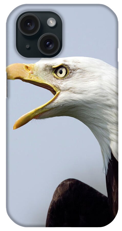 Haliaeetus Leucocephalus iPhone Case featuring the photograph Bald Eagle Calling by John Devries/science Photo Library