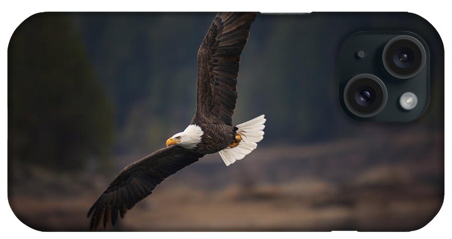 Birds iPhone Case featuring the photograph Bald Eagle in Flight by Mark Kiver