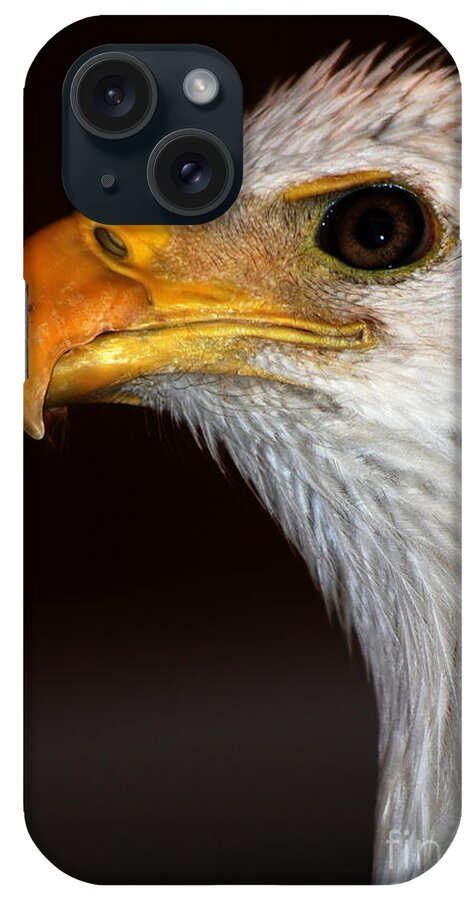 Bald Eagle iPhone Case featuring the photograph Bald Eagle by John Greco