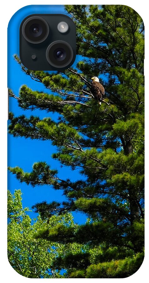 Wisconsin iPhone Case featuring the photograph Bald Eagle  by Lars Lentz