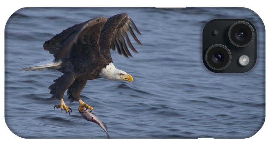 Bald iPhone Case featuring the photograph Bald Eagle with a Fish by Larry Bohlin