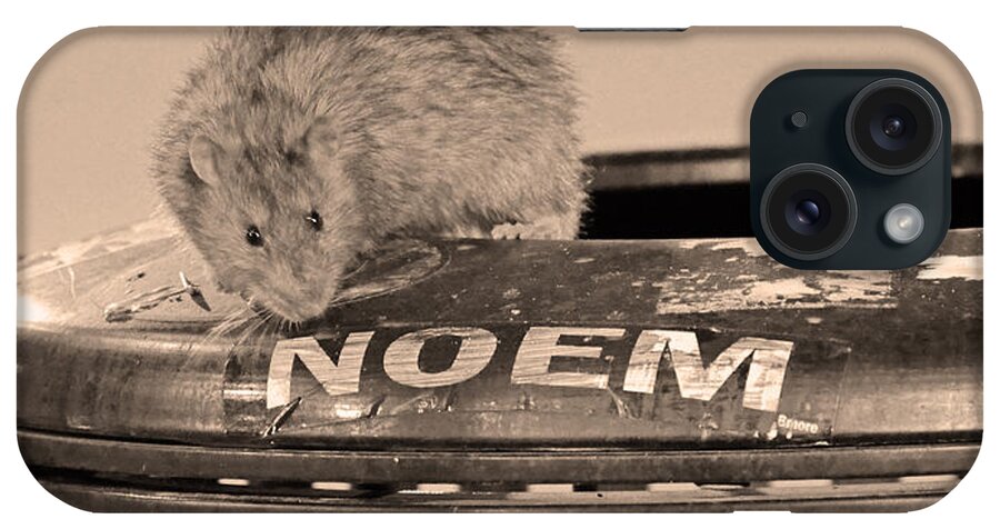 Rat iPhone Case featuring the photograph Baltimore Rat by La Dolce Vita