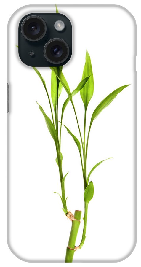 Bamboo iPhone Case featuring the photograph Bamboo by B2m Productions
