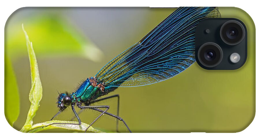 Nis iPhone Case featuring the photograph Banded Demoiselle Damselfy Male by Alex Huizinga