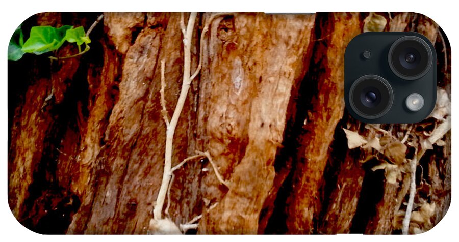Tree iPhone Case featuring the photograph Bark by Del Gaizo