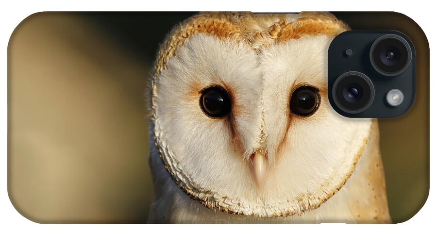 Adult iPhone Case featuring the photograph Barn Owl Beauty by Roeselien Raimond