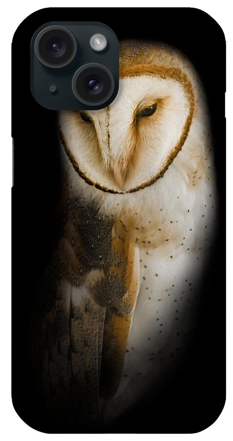 Owl iPhone Case featuring the photograph Barn Owl by Bill Wakeley