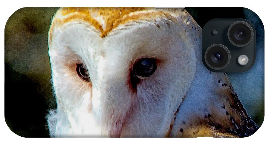 Barn Owl iPhone Case featuring the photograph Barn Owl Portrait by Constantine Gregory