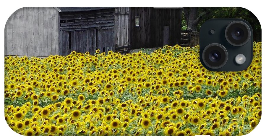 Field Of Sunflowers iPhone Case featuring the photograph Barns and Sunflowers by Michelle Welles
