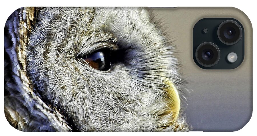 Barred Owl iPhone Case featuring the photograph Barred None by Jan Killian
