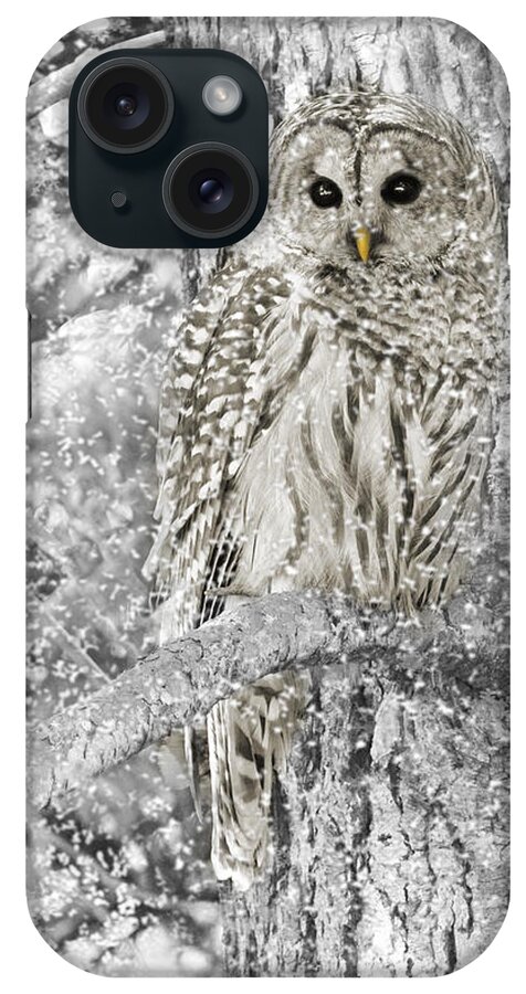 Owl iPhone Case featuring the photograph Barred Owl Snowy Day in the Forest by Jennie Marie Schell