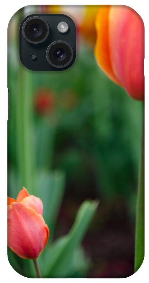 Tulip iPhone Case featuring the photograph Be Like Mom by Kathy Paynter