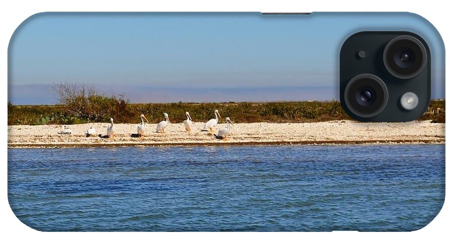 Beach iPhone Case featuring the photograph Beach Birds by Kristina Deane