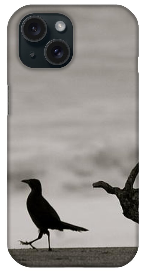 Bird iPhone Case featuring the mixed media Beach Walk by Alicia Kent
