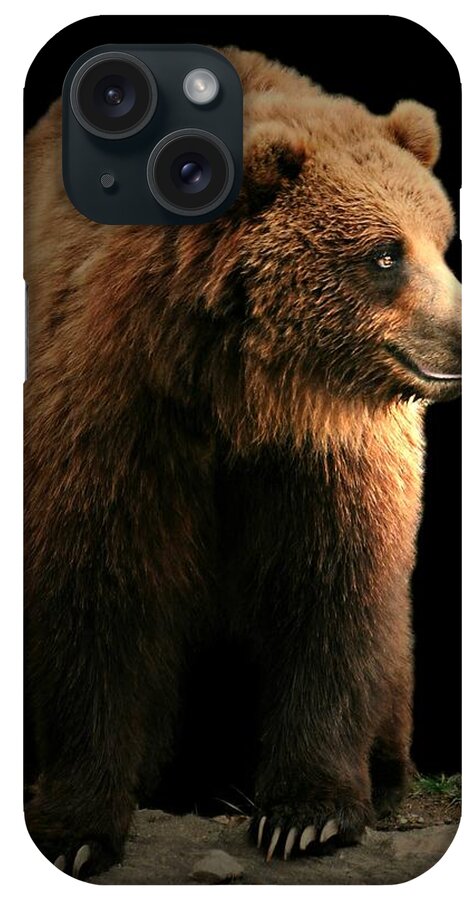 Animal iPhone Case featuring the photograph Bear Essentials by Diana Angstadt