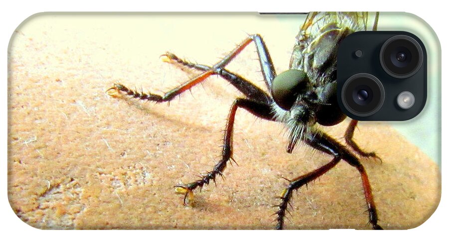 Bugs iPhone Case featuring the photograph Bearded Robber Fly by Lori Lafargue