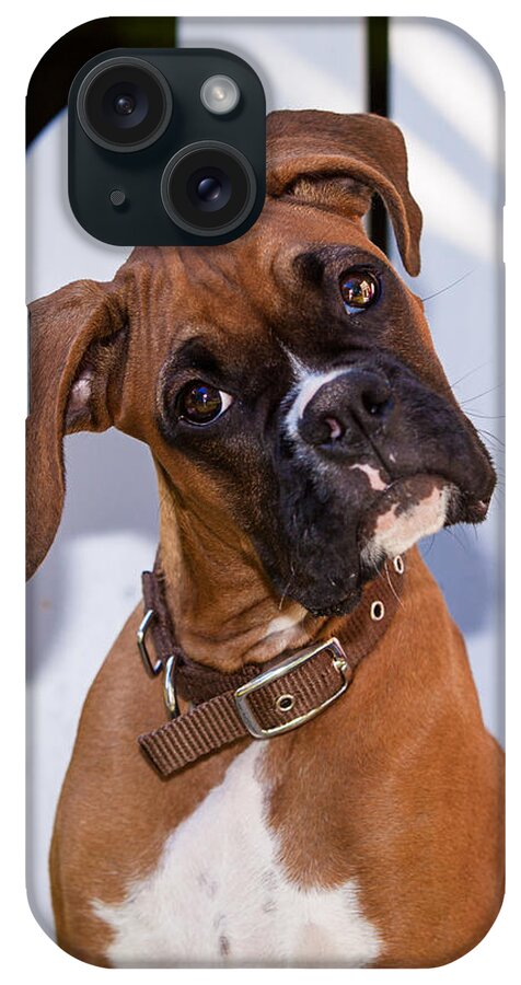 Boxer iPhone Case featuring the photograph Beau the Boxer by Karen Varnas