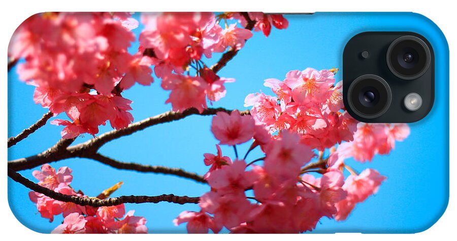 Cherry Blossom iPhone Case featuring the photograph Beautiful Bright Pink Cherry Blossoms Against Blue Sky in Spring by Beverly Claire Kaiya