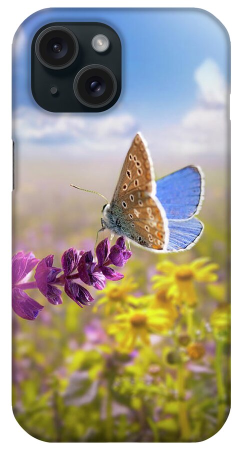 Scenics iPhone Case featuring the photograph Beautiful Butterfly by Zeljkosantrac