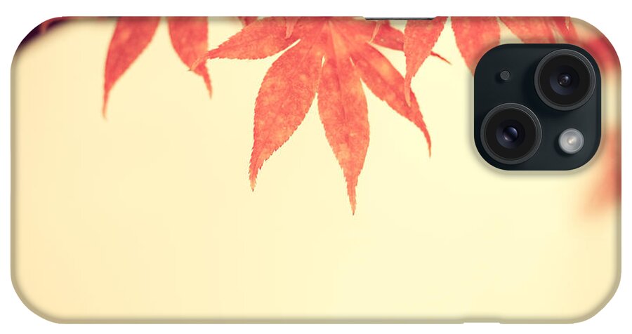 Autumn iPhone Case featuring the photograph Beautiful Fall by Hannes Cmarits