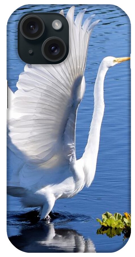 Great White Egret iPhone Case featuring the photograph Beautiful Grest White Egret by Sheri McLeroy