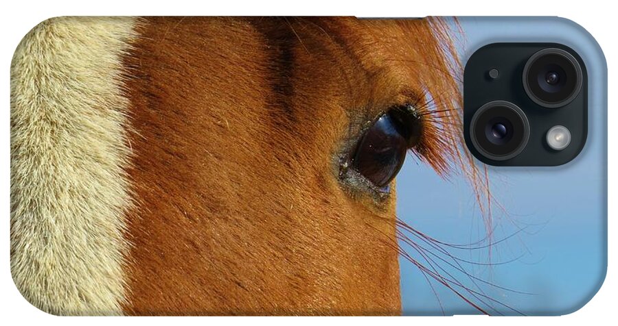 Horse iPhone Case featuring the photograph Beautiful Izzy by Jeanette Oberholtzer