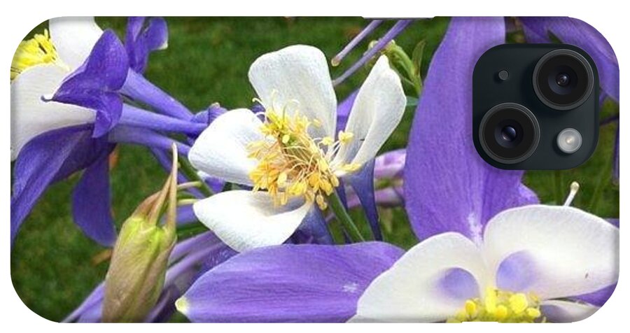 Flowers iPhone Case featuring the photograph Beautiful Light Hues by Portraits By NC