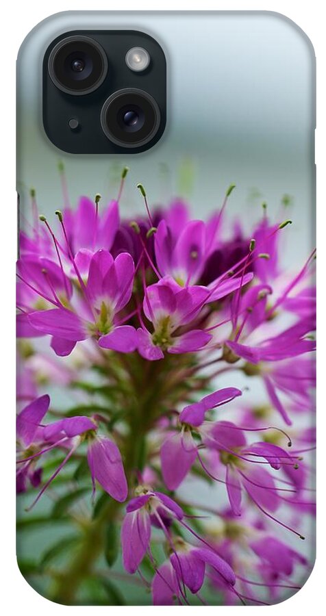  Montana Wild Flower Photographs iPhone Case featuring the photograph Beautiful Morning by Kevin Bone
