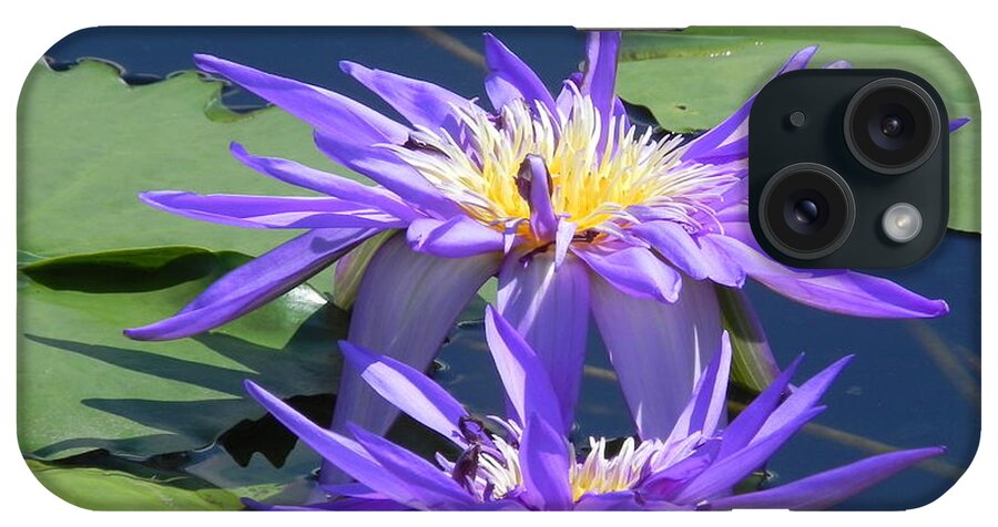 Photography iPhone Case featuring the photograph Beautiful Purple Lilies by Chrisann Ellis