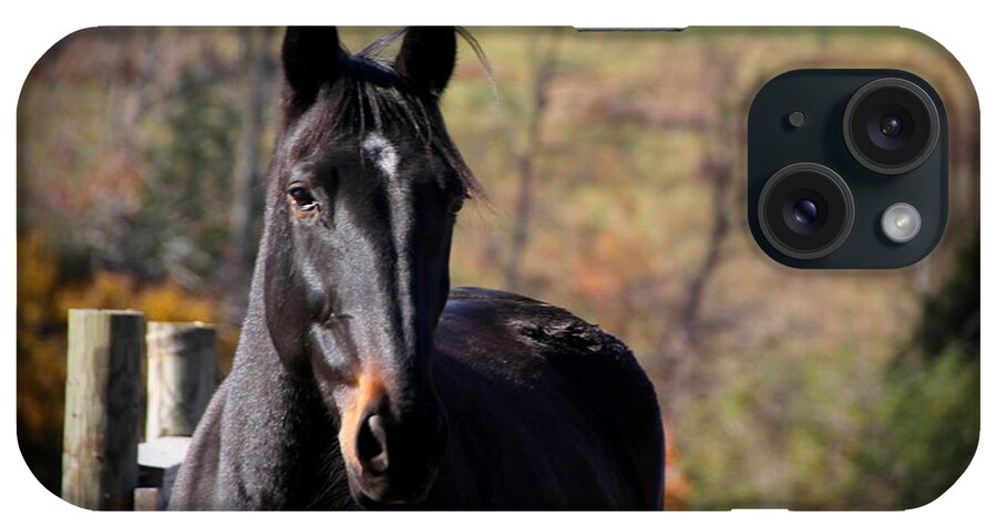 Horse iPhone Case featuring the photograph Beautiful by Rabiah Seminole