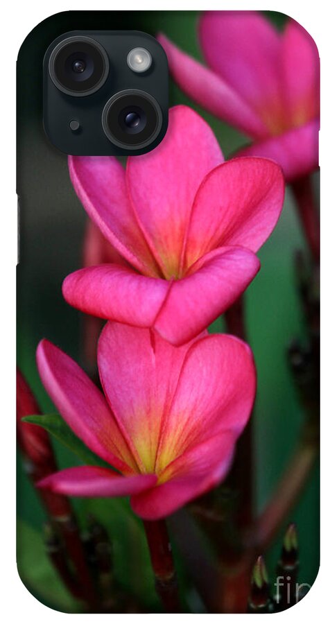  iPhone Case featuring the photograph Beautiful Red Plumeria by Sabrina L Ryan