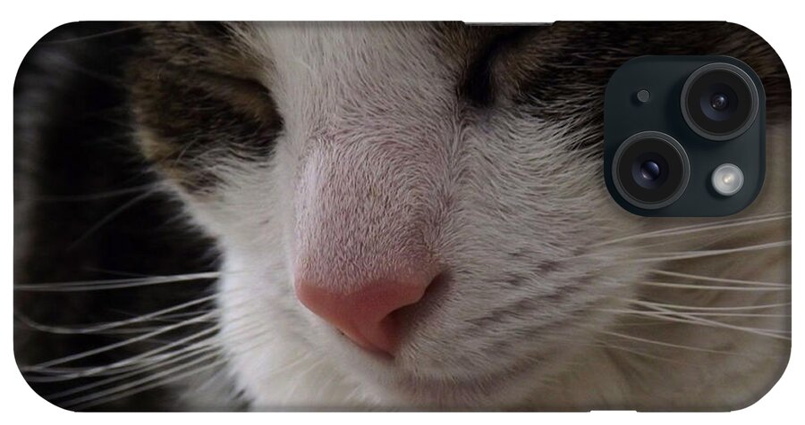 Cat iPhone Case featuring the photograph Beautiful Slumber by Robyn King