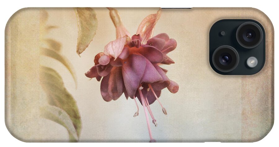 Fuschia iPhone Case featuring the photograph Beauty Fades Softly Framed by Sue Capuano