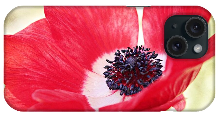Anemone Coronaria iPhone Case featuring the photograph Beauty in the Breeze by Clare Bevan