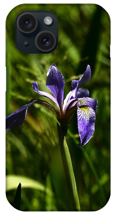 Iris iPhone Case featuring the photograph Beauty in the Grass by Lori Tambakis