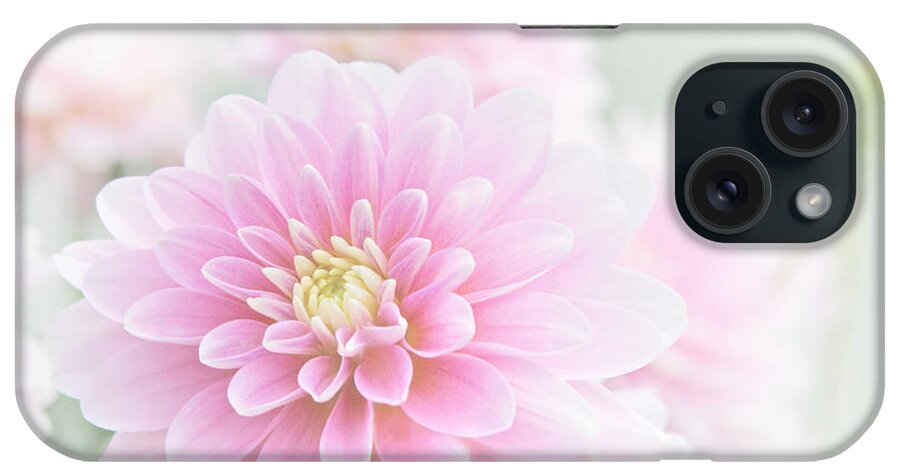Aloha iPhone Case featuring the photograph Beauty IV by Sharon Mau