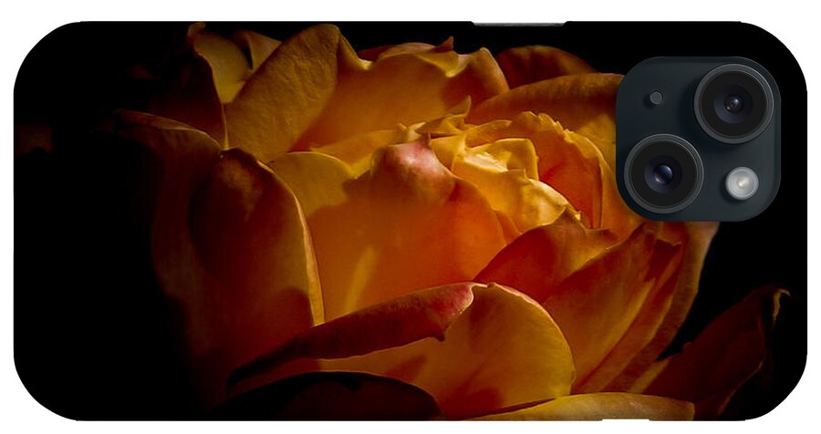Rose iPhone Case featuring the photograph Beauty of Life by Ernest Echols