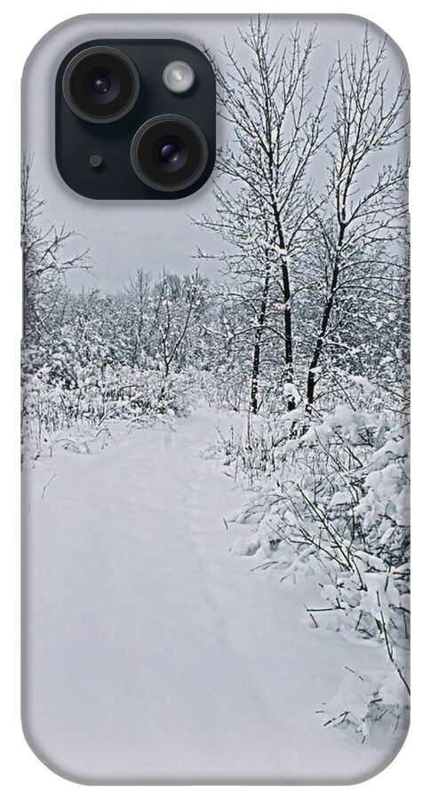 Winter iPhone Case featuring the photograph Beauty Of Winter by Kay Novy